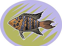 五彩小魚 水生動(dòng)物 矢量素材 EPS格式_0732