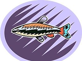 五彩小魚 水生動(dòng)物 矢量素材 EPS格式_0731