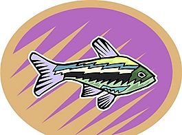 五彩小魚(yú) 水生動(dòng)物 矢量素材 EPS格式_0729