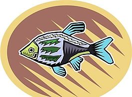 五彩小魚 水生動物 矢量素材 EPS格式_0722