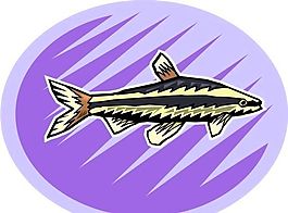 五彩小魚(yú) 水生動(dòng)物 矢量素材 EPS格式_0720