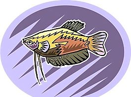 五彩小魚 水生動物 矢量素材 EPS格式_0717