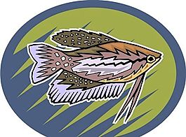 五彩小魚 水生動物 矢量素材 EPS格式_0716