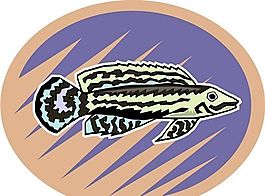 五彩小魚 水生動物 矢量素材 EPS格式_0714