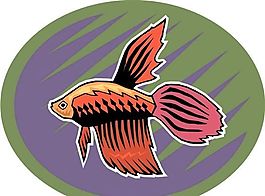 五彩小魚 水生動(dòng)物 矢量素材 EPS格式_0710