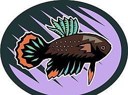 五彩小魚 水生動物 矢量素材 EPS格式_0709