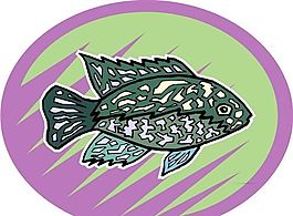 五彩小魚 水生動(dòng)物 矢量素材 EPS格式_0708