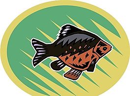五彩小魚 水生動(dòng)物 矢量素材 EPS格式_0699