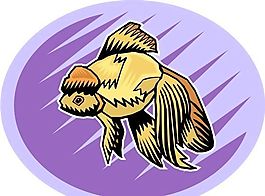 五彩小魚 水生動物 矢量素材 EPS格式_0698