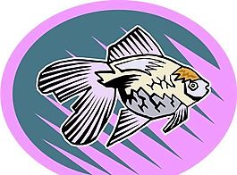 五彩小魚 水生動(dòng)物 矢量素材 EPS格式_0697