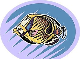 五彩小魚 水生動(dòng)物 矢量素材 EPS格式_0693