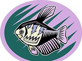 五彩小魚(yú) 水生動(dòng)物 矢量素材 EPS格式_0692