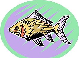 五彩小魚 水生動(dòng)物 矢量素材 EPS格式_0691