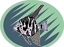 五彩小魚 水生動物 矢量素材 EPS格式_0688