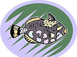 五彩小魚 水生動(dòng)物 矢量素材 EPS格式_0677