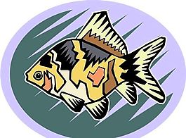 五彩小魚 水生動物 矢量素材 EPS格式_0675