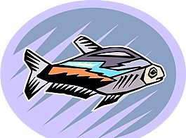 五彩小魚 水生動(dòng)物 矢量素材 EPS格式_0671