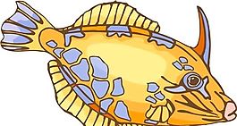 五彩小魚 水生動(dòng)物 矢量素材 EPS格式_0638