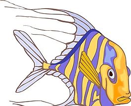 五彩小魚(yú) 水生動(dòng)物 矢量素材 EPS格式_0637