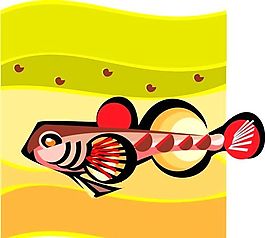 五彩小魚 水生動物 矢量素材 EPS格式_0615