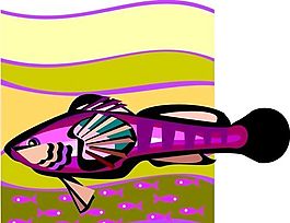 五彩小魚 水生動物 矢量素材 EPS格式_0613
