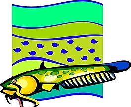 五彩小魚(yú) 水生動(dòng)物 矢量素材 EPS格式_0602