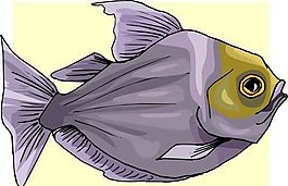 五彩小魚 水生動物 矢量素材 EPS格式_0539