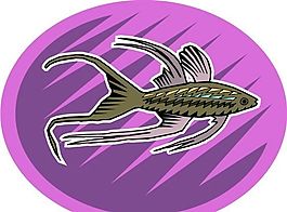 五彩小魚 水生動物 矢量素材 EPS格式_0530