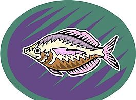 五彩小魚 水生動物 矢量素材 EPS格式_0513