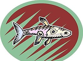 五彩小魚 水生動物 矢量素材 EPS格式_0510