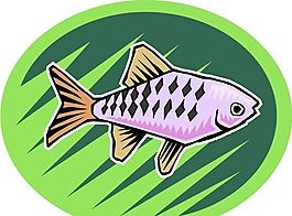 五彩小魚 水生動物 矢量素材 EPS格式_0507