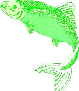 五彩小魚 水生動物 矢量素材 EPS格式_0483