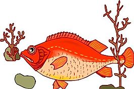 五彩小魚 水生動物 矢量素材 EPS格式_0446