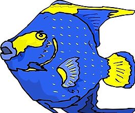 五彩小魚 水生動(dòng)物 矢量素材 EPS格式_0433