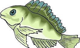 五彩小魚 水生動物 矢量素材 EPS格式_0421