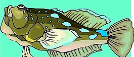 五彩小魚 水生動物 矢量素材 EPS格式_0410