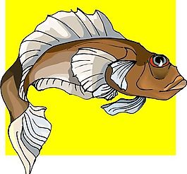 五彩小魚 水生動(dòng)物 矢量素材 EPS格式_0393