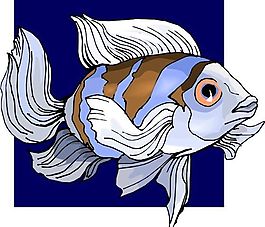 五彩小魚 水生動物 矢量素材 EPS格式_0392