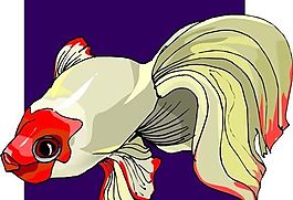 五彩小魚 水生動物 矢量素材 EPS格式_0391