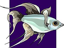 五彩小魚 水生動物 矢量素材 EPS格式_0389