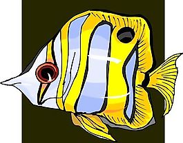 五彩小魚 水生動(dòng)物 矢量素材 EPS格式_0388