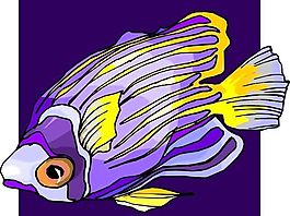 五彩小魚 水生動(dòng)物 矢量素材 EPS格式_0386