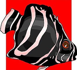 五彩小魚 水生動物 矢量素材 EPS格式_0382