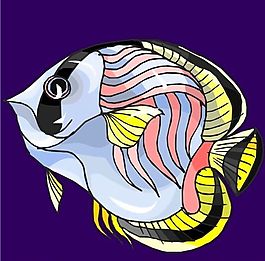 五彩小魚 水生動(dòng)物 矢量素材 EPS格式_0371