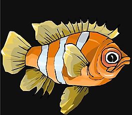 五彩小魚 水生動(dòng)物 矢量素材 EPS格式_0369