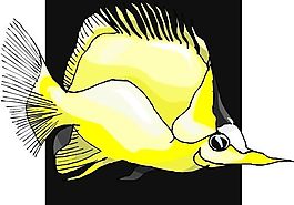 五彩小魚(yú) 水生動(dòng)物 矢量素材 EPS格式_0363