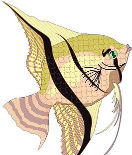 五彩小魚 水生動物 矢量素材 EPS格式_0264