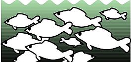 五彩小魚 水生動(dòng)物 矢量素材 EPS格式_0195