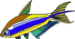 五彩小魚(yú) 水生動(dòng)物 矢量素材 EPS格式_0190