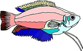 五彩小魚 水生動物 矢量素材 EPS格式_0186